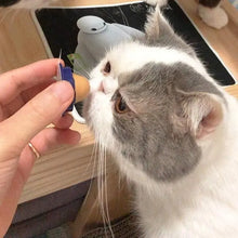 Load image into Gallery viewer, Cat Candy Treat
