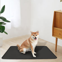 Load image into Gallery viewer, Easy to clean silicone dog mat, waterproof and heat-insulating placemat
