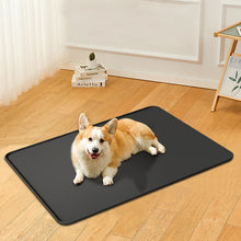 Load image into Gallery viewer, Easy to clean silicone dog mat, waterproof and heat-insulating placemat
