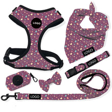 Load image into Gallery viewer, New dog leash vest, harness set
