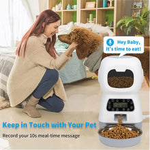 Load image into Gallery viewer, Automatic Dogs Cats Feeder
