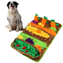 Load image into Gallery viewer, Snuffle Mat Dog Slow Feeder Treats Pad Pet Sniffing Toy Pad Cat Licking Mat Puppy Training Pad Pet Dogs Feeding Supplies
