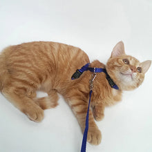 Load image into Gallery viewer, Cheap Sphynx Cat Harness and Leash Set Convenient Pet Harnesses for Cats Gotas Katten mascotas Accessories Outdoor Kedi Cat Lead
