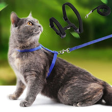 Load image into Gallery viewer, Cheap Sphynx Cat Harness and Leash Set Convenient Pet Harnesses for Cats Gotas Katten mascotas Accessories Outdoor Kedi Cat Lead
