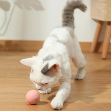 Load image into Gallery viewer, Smart Cat Rolling Ball Toys Rechargeable Cat Toys Ball Motion Ball Self-moving Kitten Toys for Indoor Interactive Playing 2023
