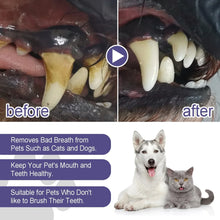 Load image into Gallery viewer, Pet Teeth Cleaner Pen Prevent Calculus Cat Mouth Fresh Teeth Stains Tartar Removal Kitten Bad Breath Oral Cleaning Dog Deodorant
