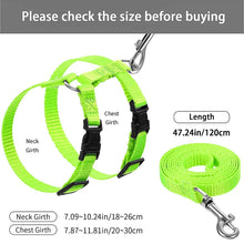 Load image into Gallery viewer, Cheap Sphynx Cat Harness and Leash Set Convenient Pet Harnesses for Cats Gotas Katten mascotas Accessories Outdoor Kedi Cat Lead
