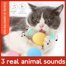 Load image into Gallery viewer, Interactive Gravity Ball Insect Calling Cat Toys Pet Squeaky Supplies Smart Interactive Ball Cat Training Toy With Animal Sounds
