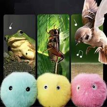 Load image into Gallery viewer, Cat Toys Balls Sound Frogs Birds Chirping Crickets EVA Balls Rolling Cat Plush Soft Self-Heeling Teaser Toys Pet Accessories
