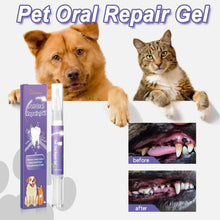 Load image into Gallery viewer, Pet Teeth Cleaner Pen Prevent Calculus Cat Mouth Fresh Teeth Stains Tartar Removal Kitten Bad Breath Oral Cleaning Dog Deodorant
