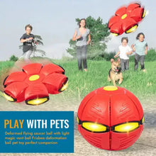 Load image into Gallery viewer, Pet Flying Saucer Ball
